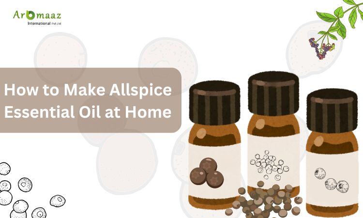 How to Make Allspice Essential Oil at Home